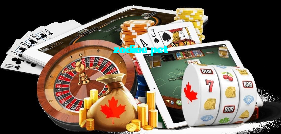 available types of zodiac pet bet including pre-match live express and system bets